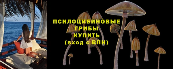 прущие крисы Семёнов