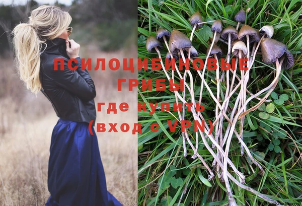 прущие крисы Семёнов