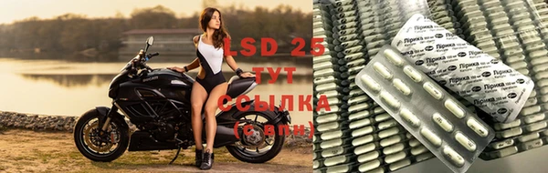 стафф Семикаракорск
