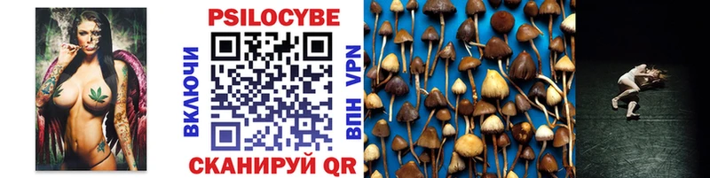 Псилоцибиновые грибы мухоморы  купить закладку  Тырныауз 