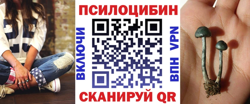 Галлюциногенные грибы Psilocybine cubensis Тырныауз