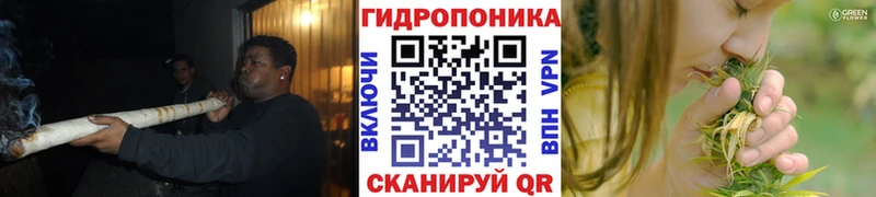 кракен зеркало  Тырныауз  это клад  Шишки марихуана VHQ 